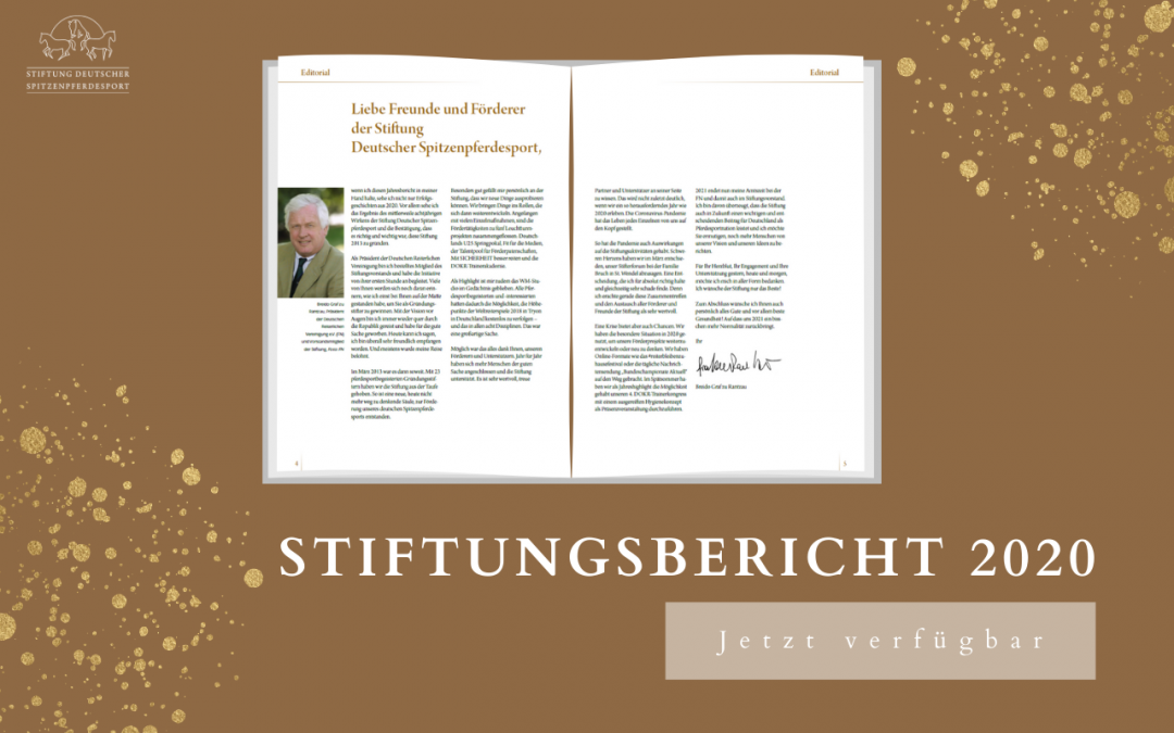 Der Stiftungsbericht 2020 ist online