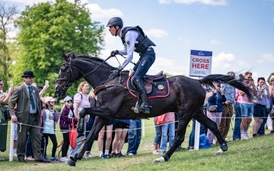 Spotlight: Interview mit Jérôme Robiné