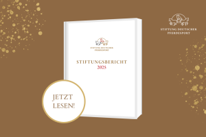 Stiftungsbericht 2025