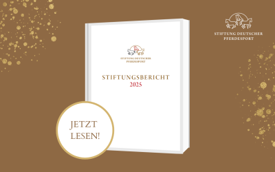 Der Stiftungsbericht 2025 ist online